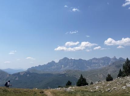 Sallent